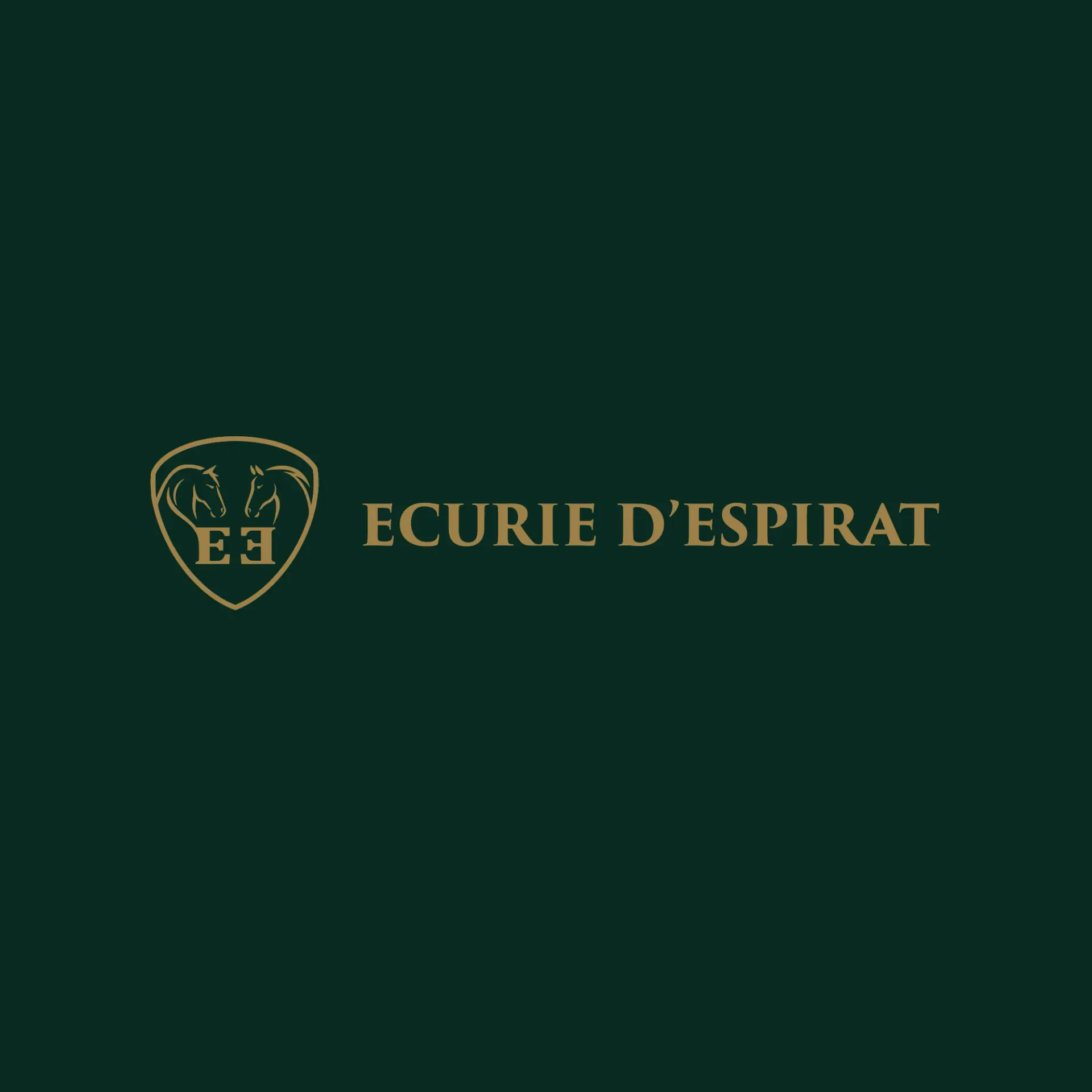 Identité visuelle — Écurie d’Espirat : détail